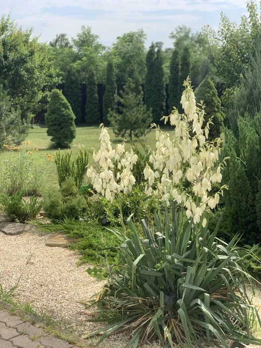 Аренда дома 180 м²