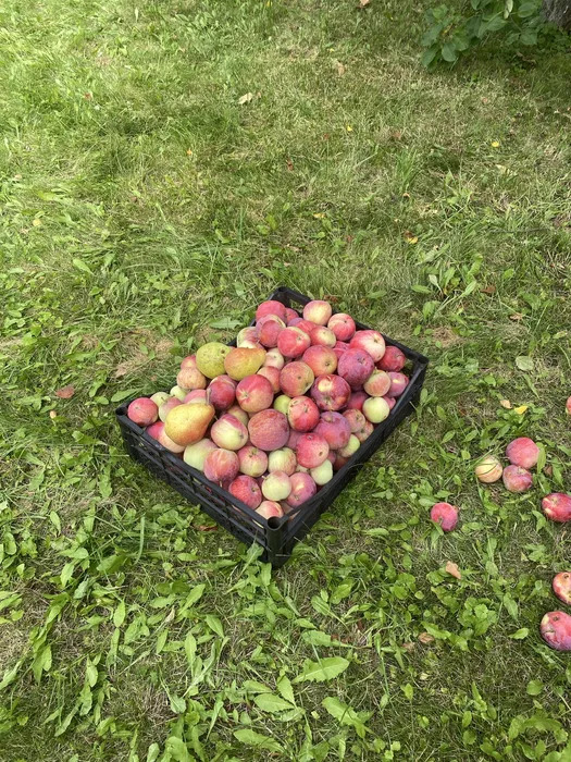 Аренда дома 180 м²