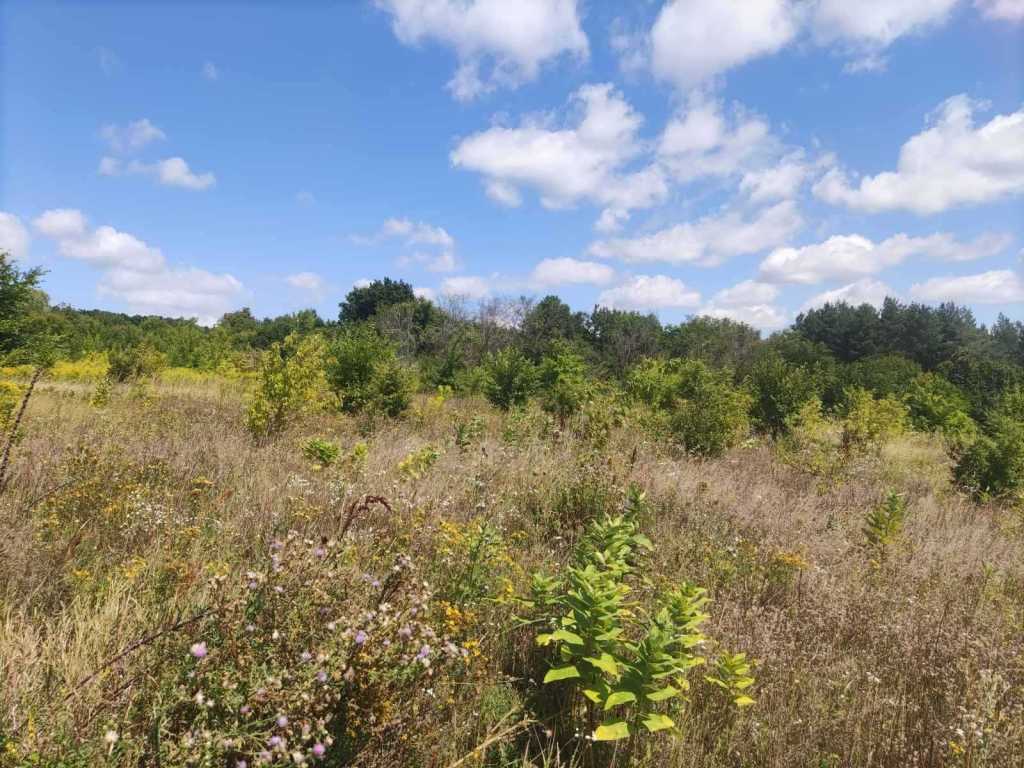 Продаж ділянки під індивідуальне житлове будівництво 25 соток