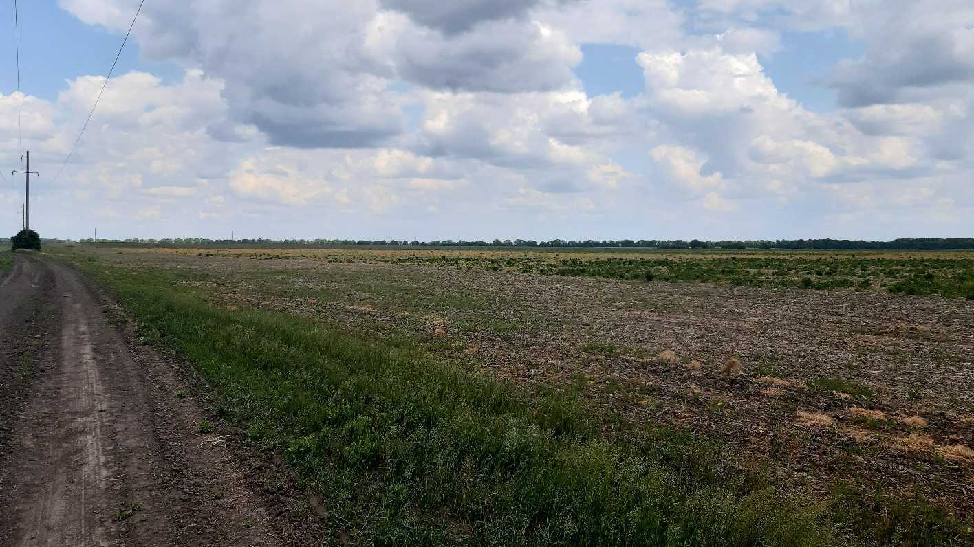 Продаж ділянки для особистого сільського господарства 200 соток, Головурівський с/о