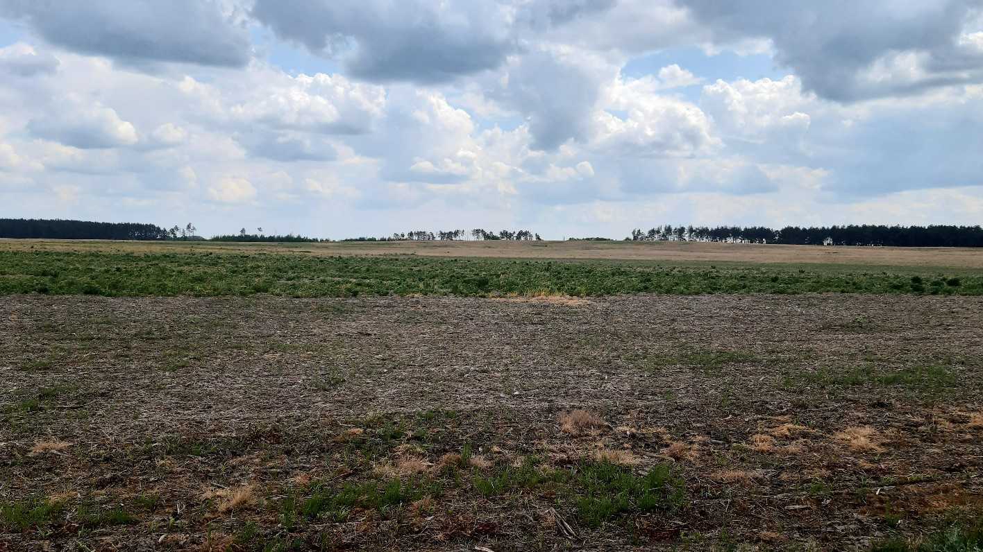 Продаж ділянки для особистого сільського господарства 200 соток, Головурівський с/о