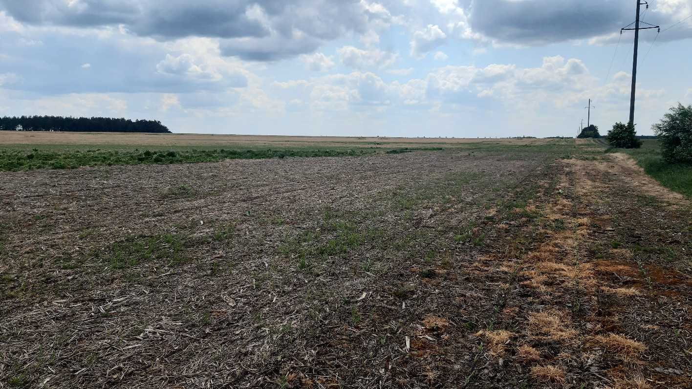 Продаж ділянки для особистого сільського господарства 200 соток, Головурівський с/о