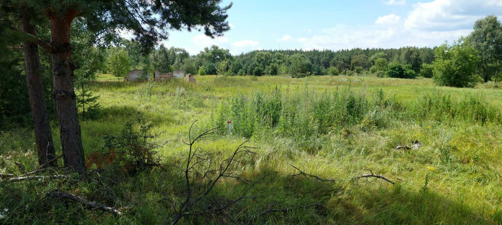 Продаж ділянки для особистого сільського господарства 800 соток, Одинця