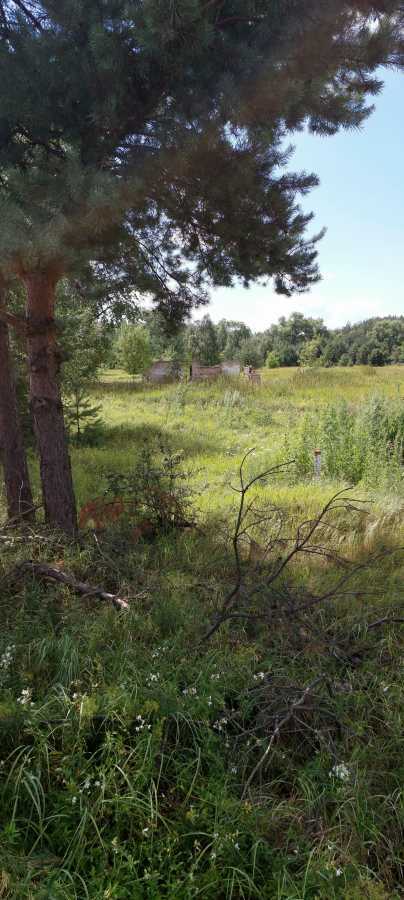 Продаж ділянки для особистого сільського господарства 800 соток, Одинця