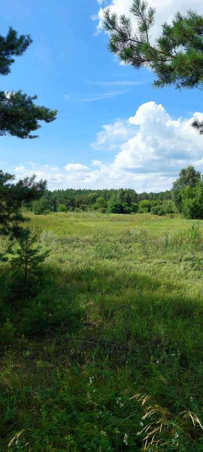 Продаж ділянки для особистого сільського господарства 800 соток, Одинця