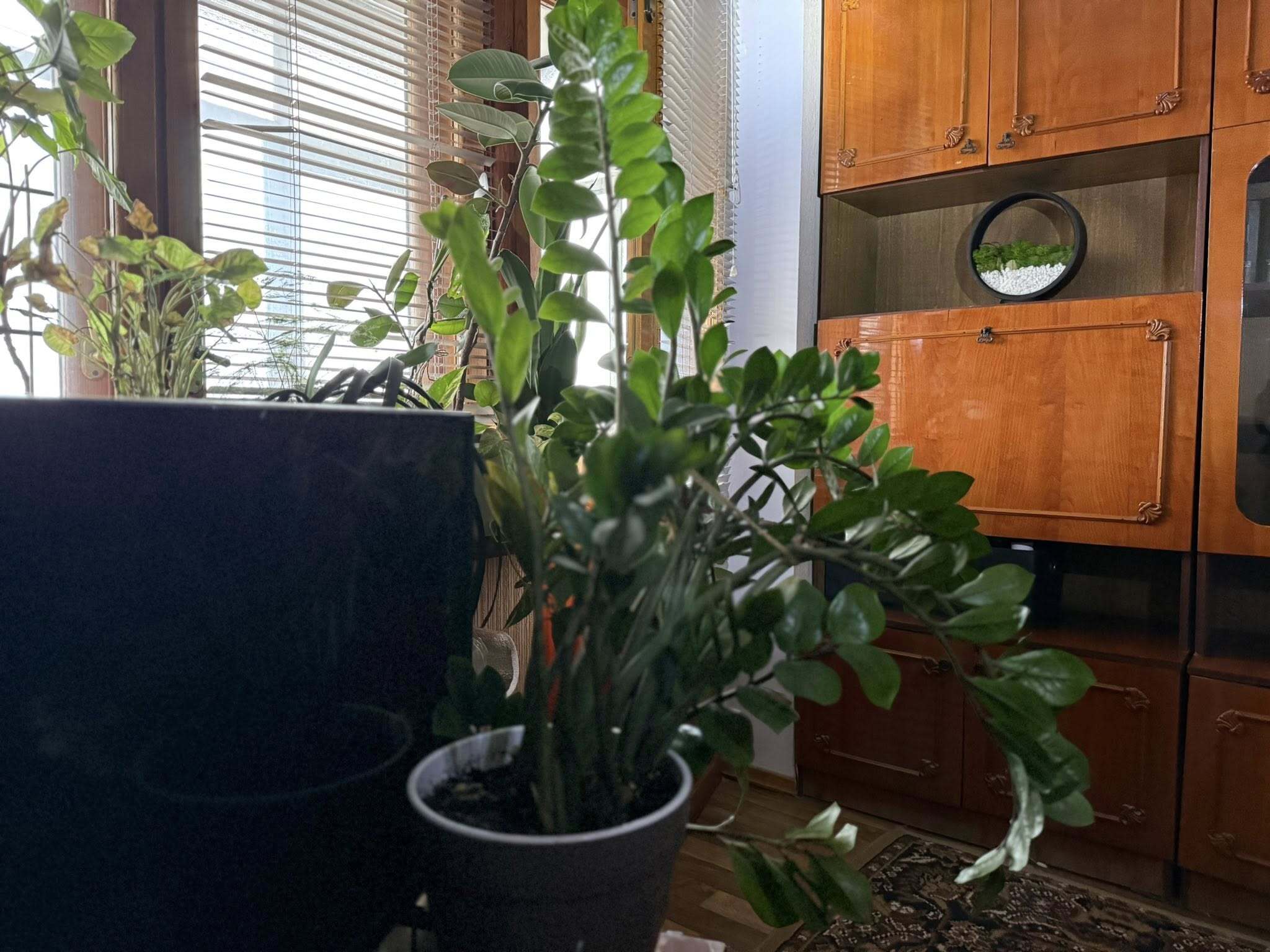 Продажа 1-комнатной квартиры 35 м², Осенняя ул., 3