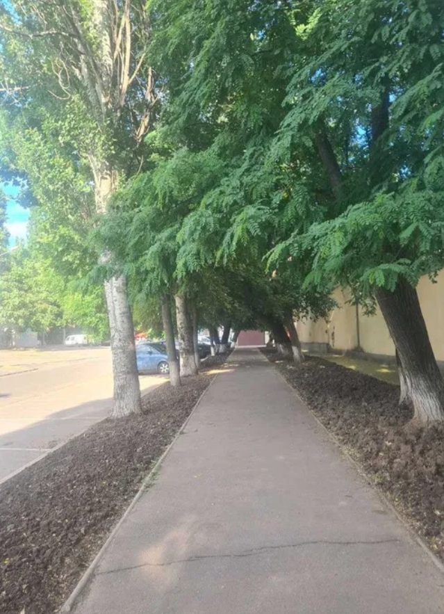 Аренда помещения свободного назначения 125 м², Комитетская ул.