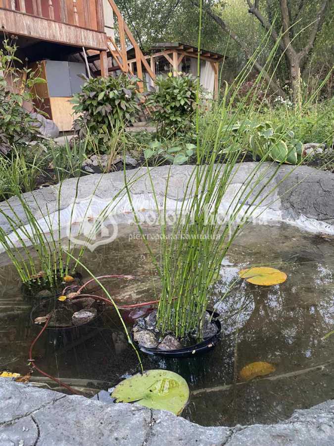 Продажа 2-комнатной квартиры 30 м², СТ Звязківець, 293