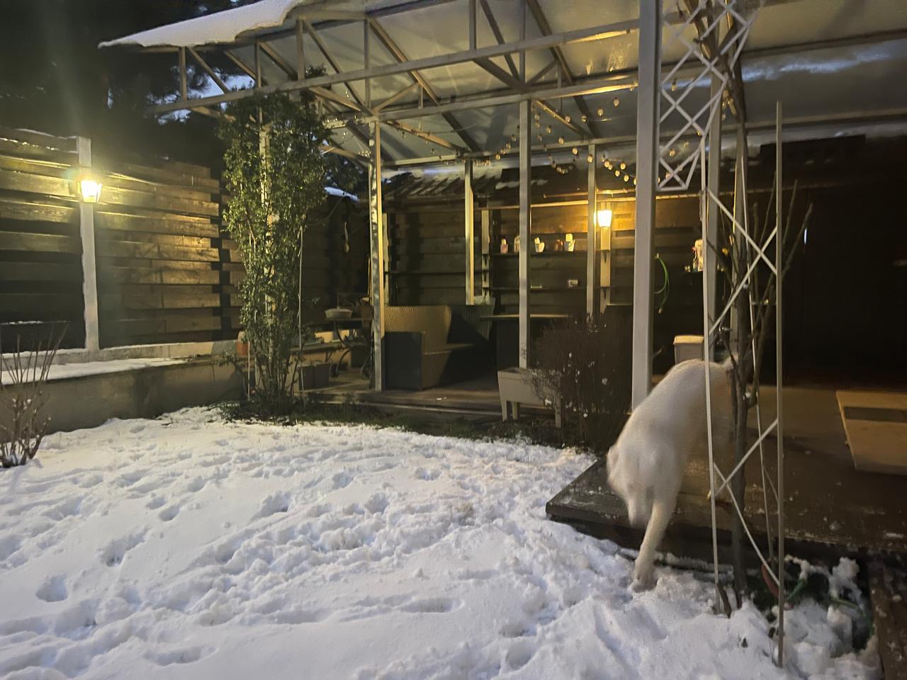 Аренда дуплекса 137 м², Незалежності ,19б