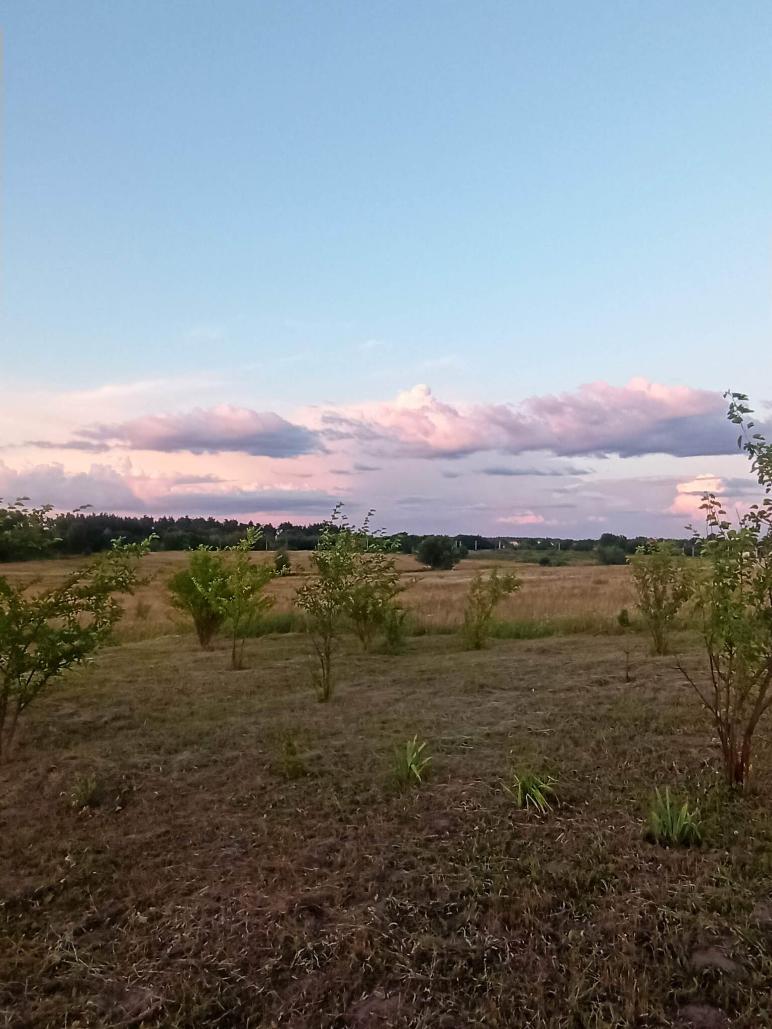Продаж ділянки під індивідуальне житлове будівництво 17 соток, Рубежіка вул.Наталії Ужвій