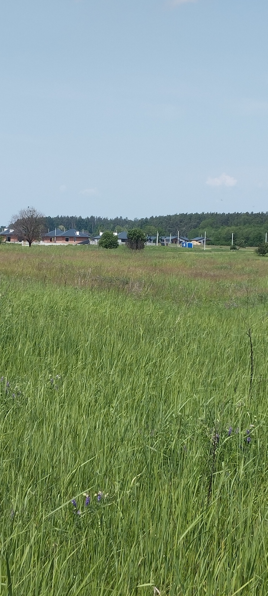Продаж ділянки під індивідуальне житлове будівництво 17 соток, Рубежіка вул.Наталії Ужвій