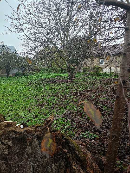 Продажа дома 55.8 м², 26