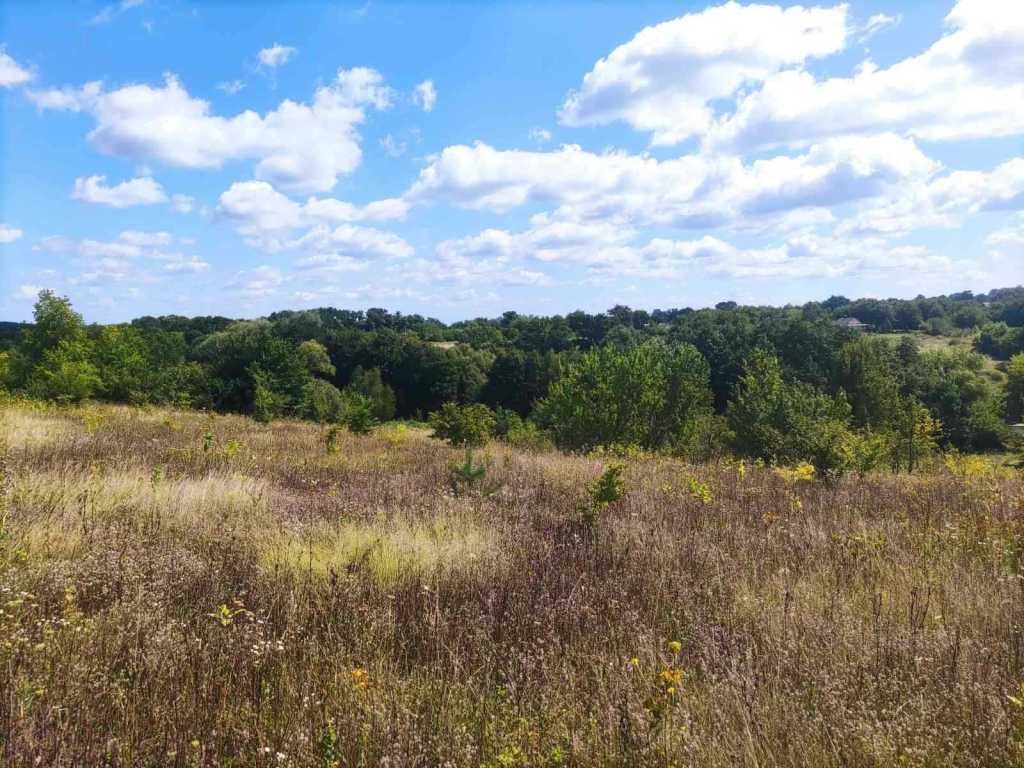 Продаж ділянки під індивідуальне житлове будівництво 25 соток