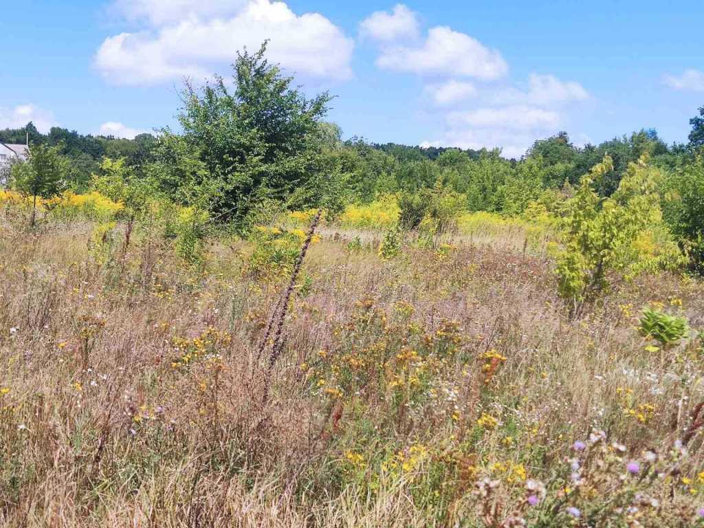 Продаж ділянки під індивідуальне житлове будівництво 25 соток