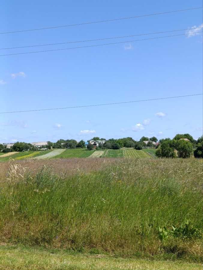 Продажа участка под индивидуальное жилое строительство 16 соток, Паліїв 35