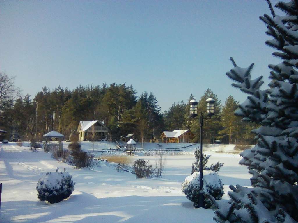 Дом посуточно 55 м², Лесная