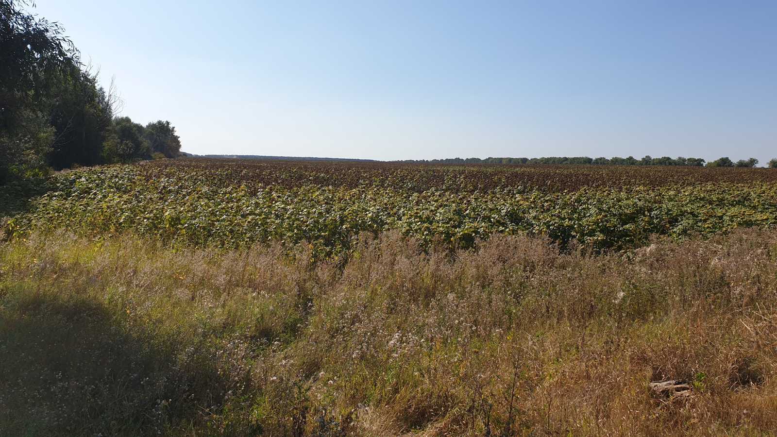Продажа участка для строительства производства 1691 соток, Невідома