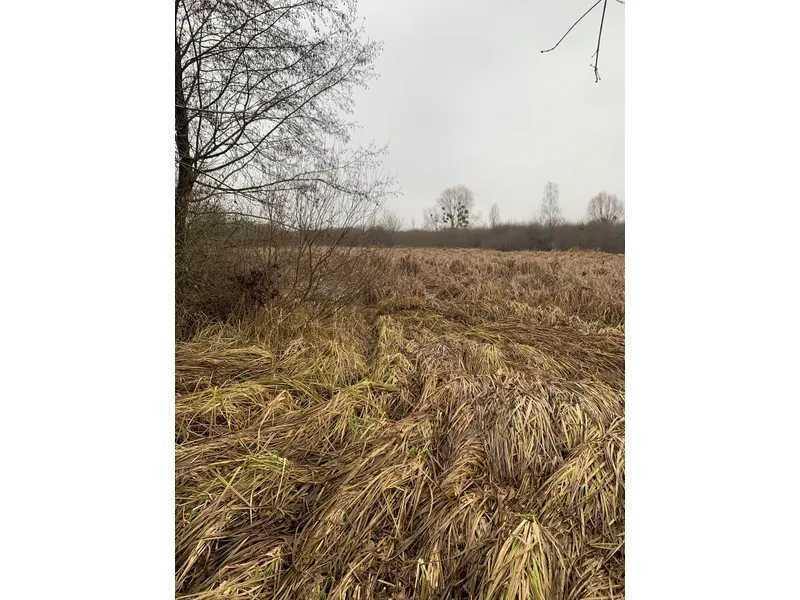 Продажа участка для личного сельского хозяйства 200 соток