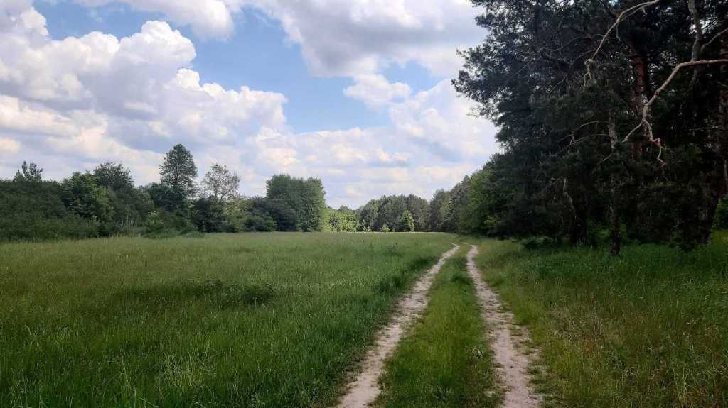 Продажа участка для личного сельского хозяйства 200 соток