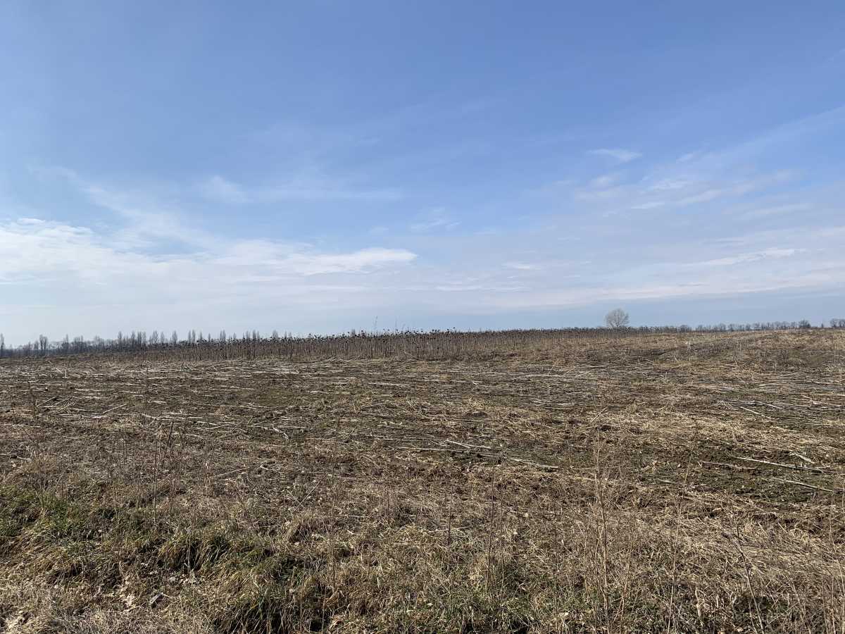 Продажа участка для личного сельского хозяйства 200 соток, Глибоцька с/р