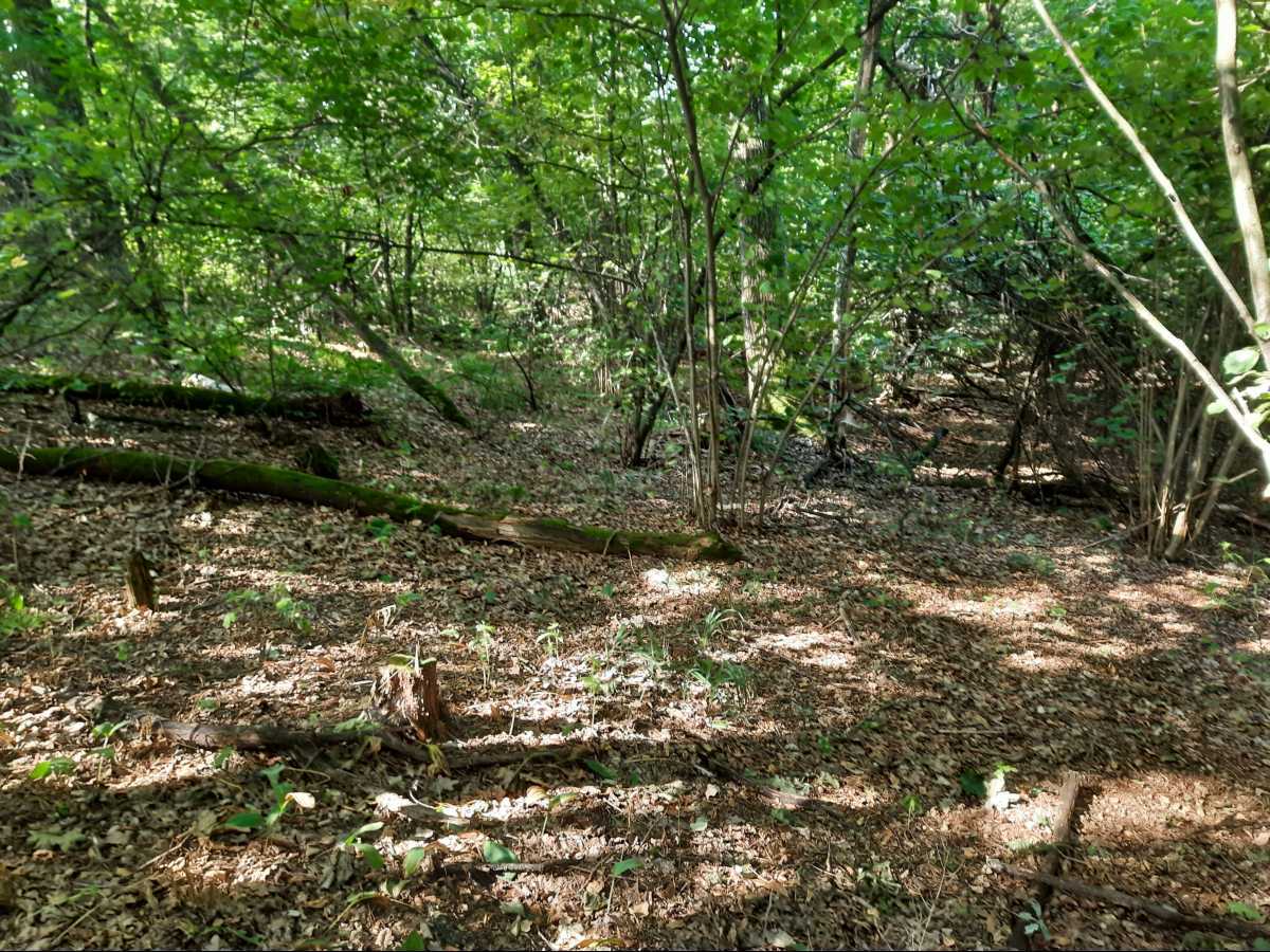 Продажа участка для строительства гостиниц 74 соток, б/н