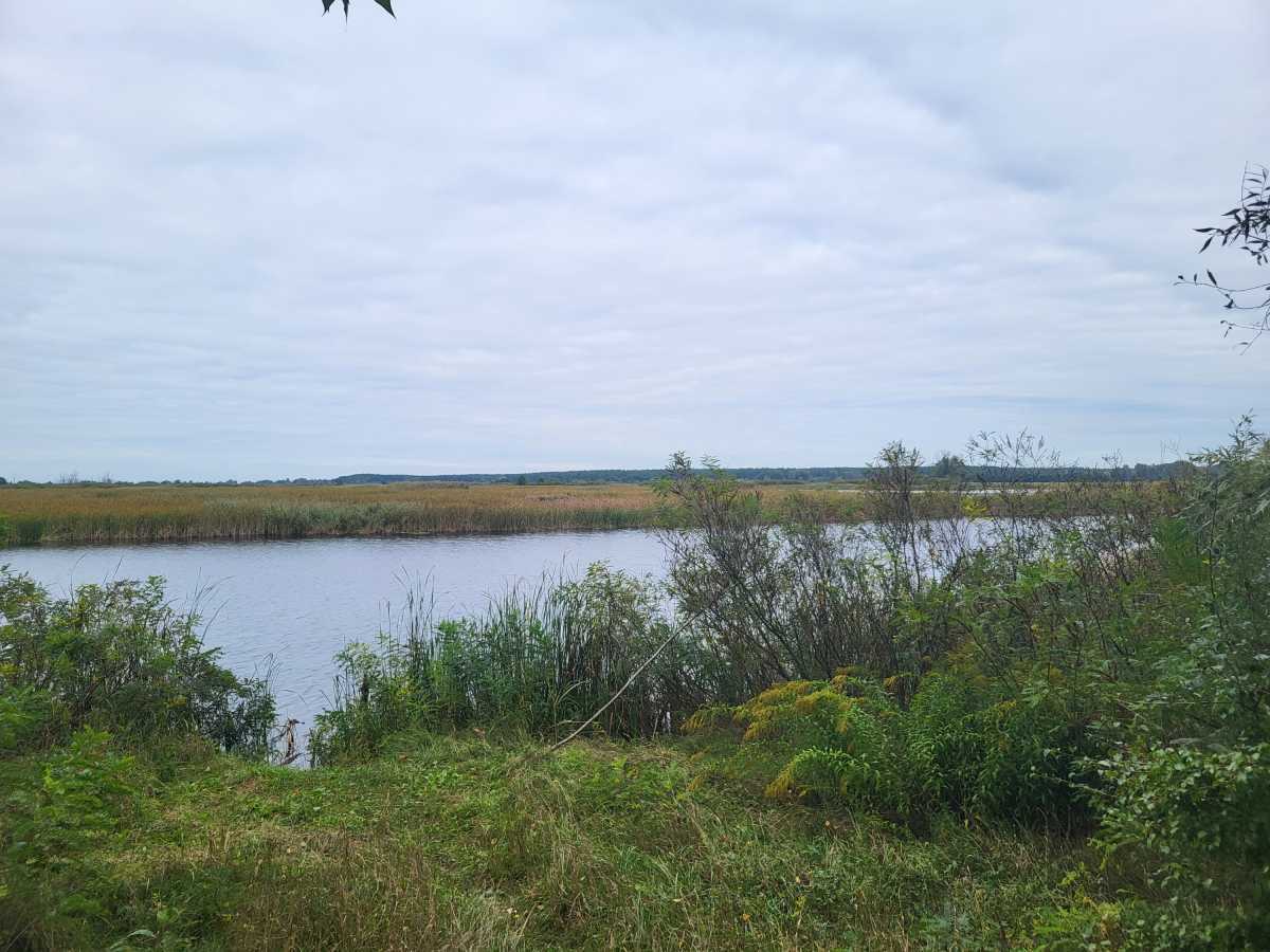 Продажа участка для личного сельского хозяйства 200 соток, Вороньков, улица б/н