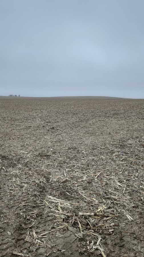 Продажа участка для личного сельского хозяйства 200 соток, Вороньков, улица Вороньківська с/р