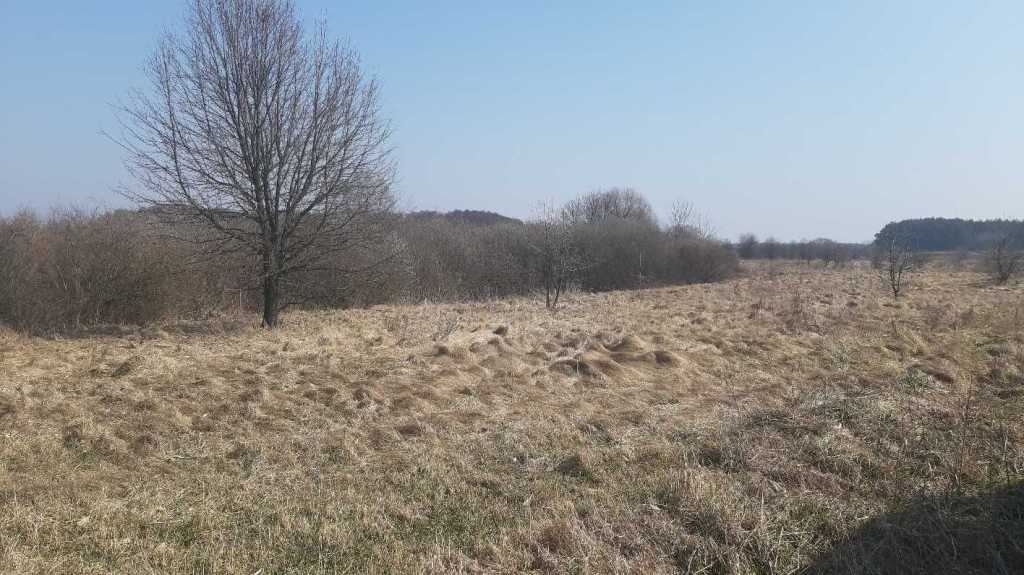 Продажа участка для личного сельского хозяйства 200 соток, Вороньков, улица Вороньків