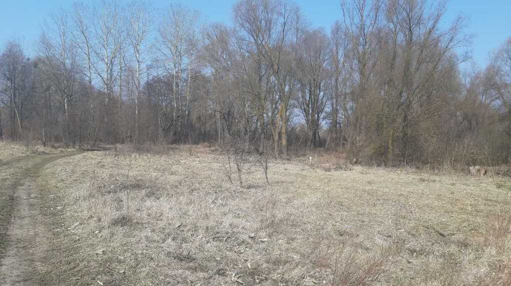 Продажа участка для личного сельского хозяйства 200 соток, Вороньков, улица Вороньків