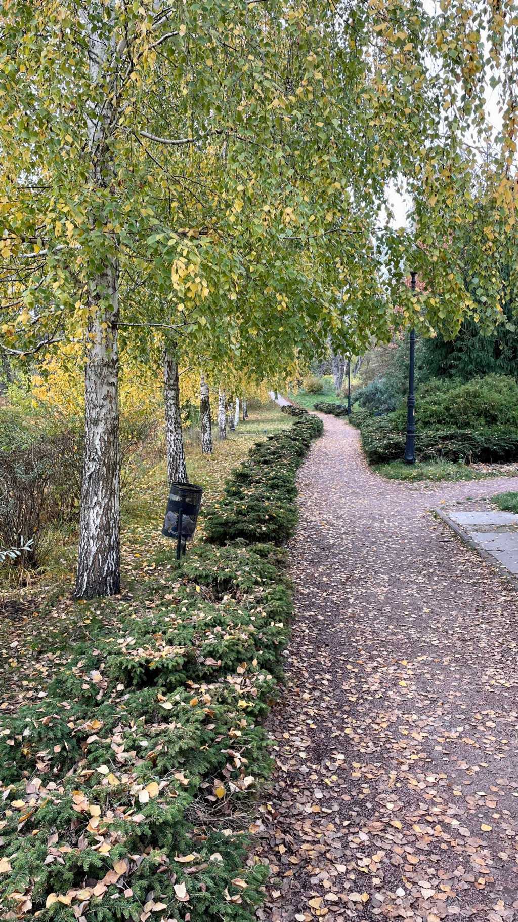 Оренда 1-кімнатної квартири 45 м², Вишгородська вул., 45/4