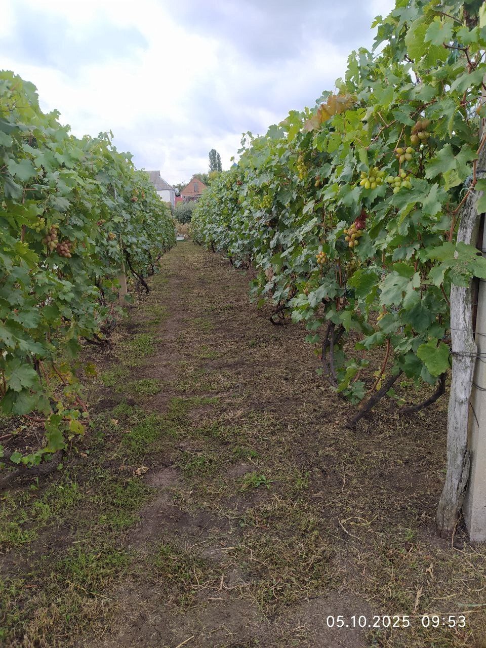 Продажа дома 61.5 м²