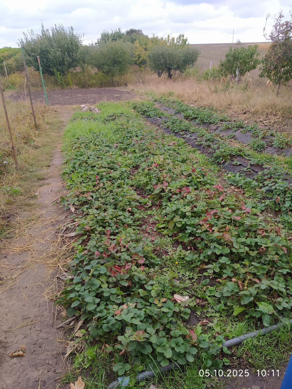 Продажа дома 61.5 м²