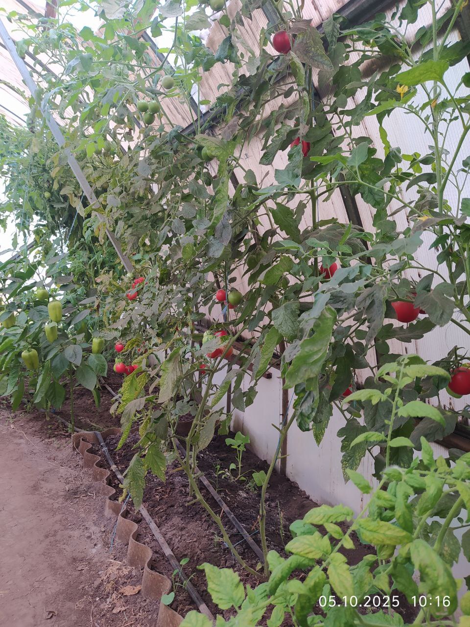 Продажа дома 61.5 м²