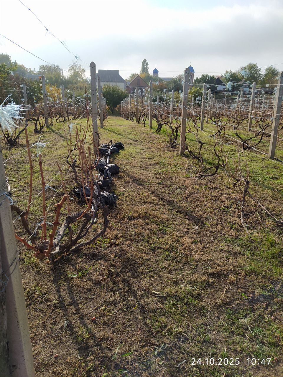 Продажа дома 61.5 м²