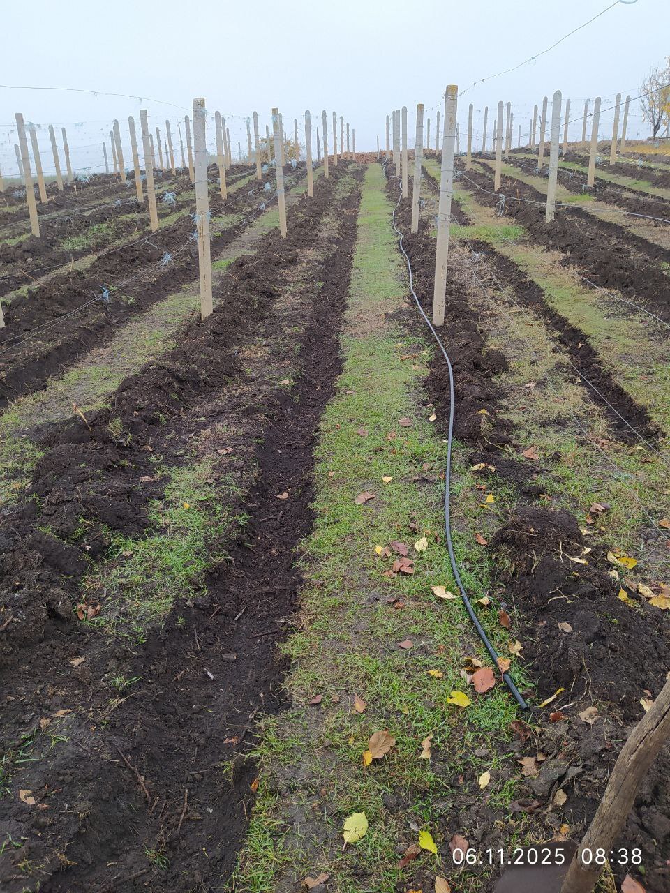 Продажа дома 61.5 м²