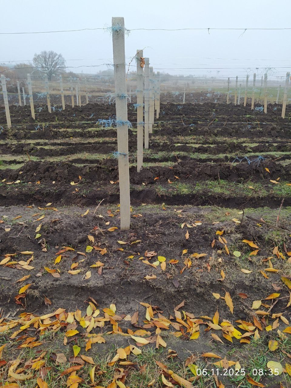 Продажа дома 61.5 м²