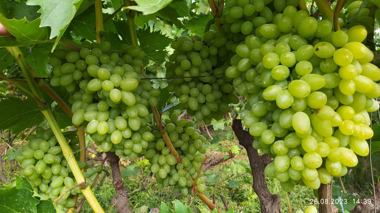 Продажа дома 61.5 м²