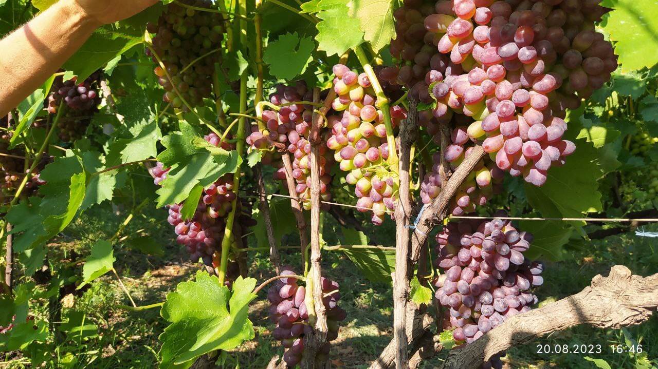 Продажа дома 61.5 м²