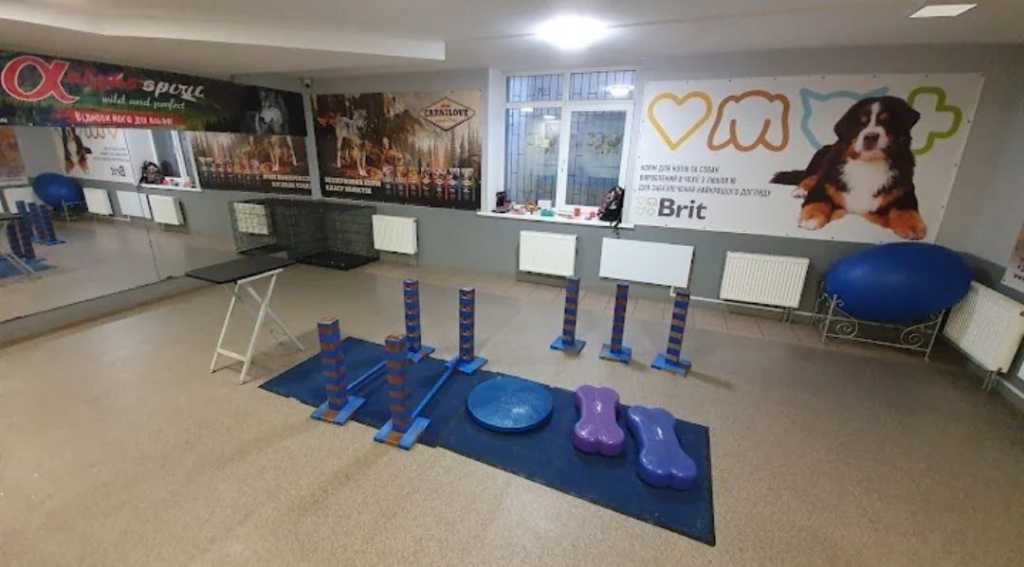 Продажа магазина 227 м², Голосеевская ул., 13а