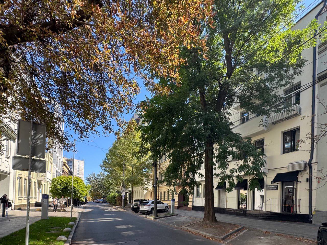 Аренда офиса 50 м², Сергея Ефремова ул.