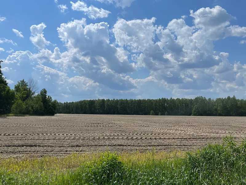 Продаж ділянки для особистого сільського господарства 38.71 соток, Нова