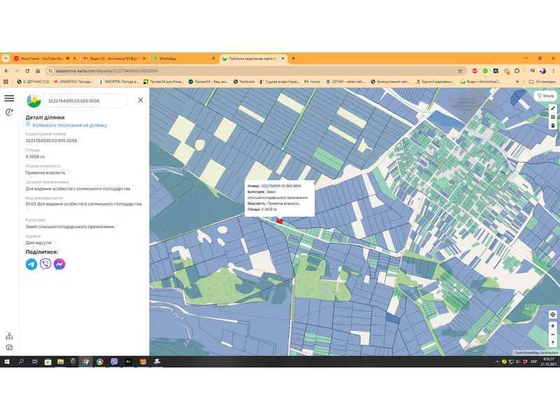 Продаж ділянки для особистого сільського господарства 38.71 соток, Нова
