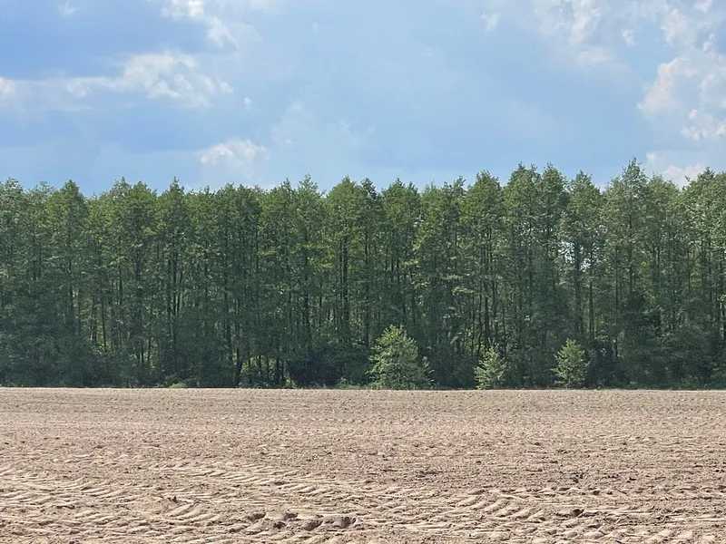 Продаж ділянки для особистого сільського господарства 38.71 соток, Нова