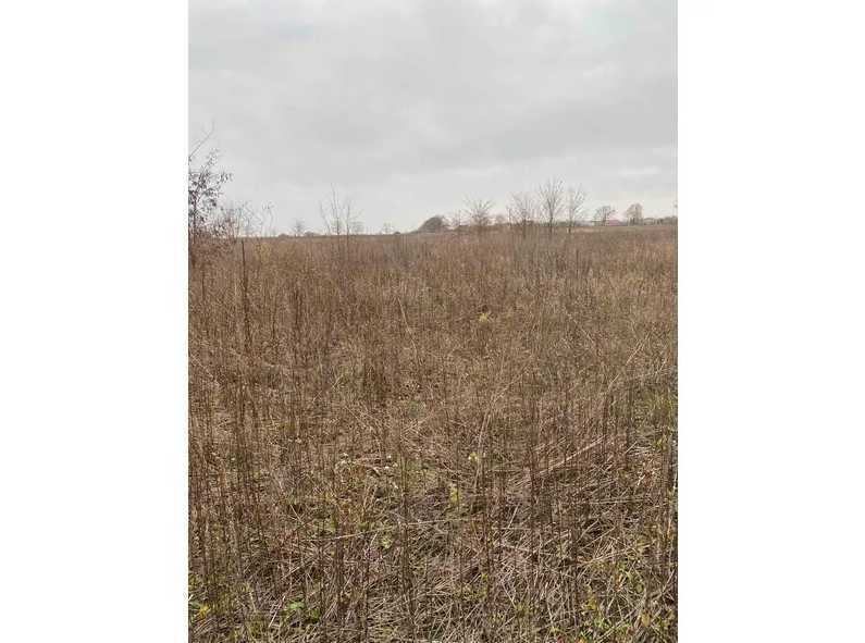 Продаж ділянки під індивідуальне житлове будівництво 9.1 соток, Гвардійська, 26