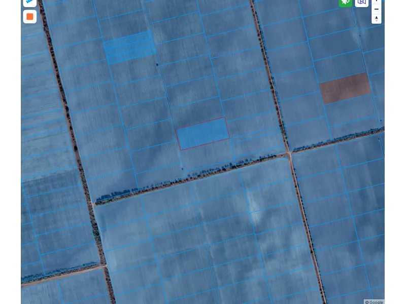 Продажа участка для личного сельского хозяйства 163.63 соток, Нова, ділянка № 608