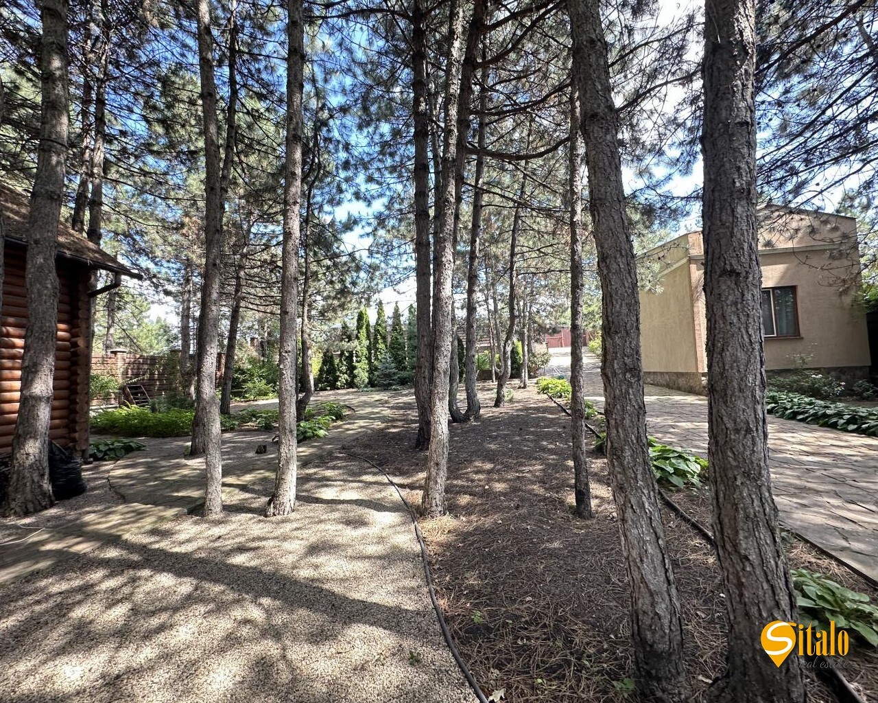 Аренда дома 390 м²