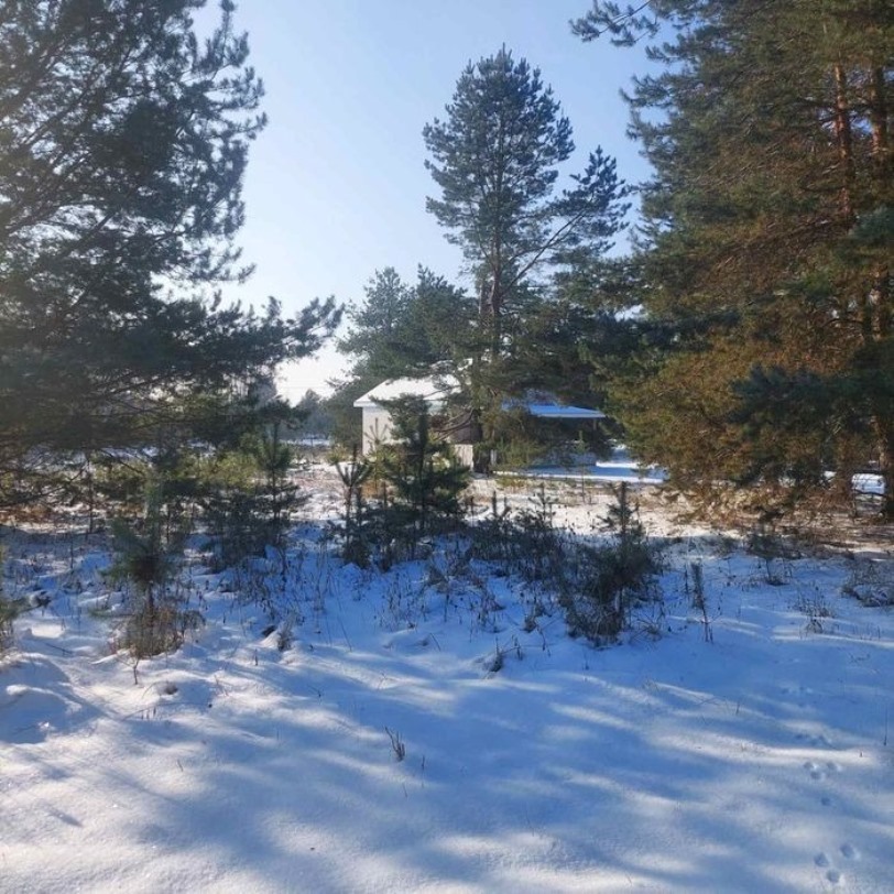 Продаж будинку 50 м²