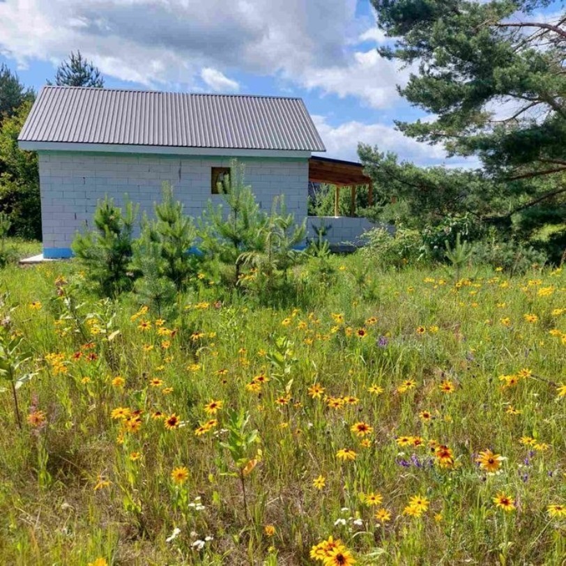 Продаж будинку 50 м²