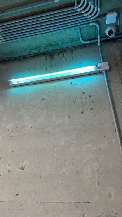 Аренда помещения свободного назначения 150 м², Люстдорфская дор.