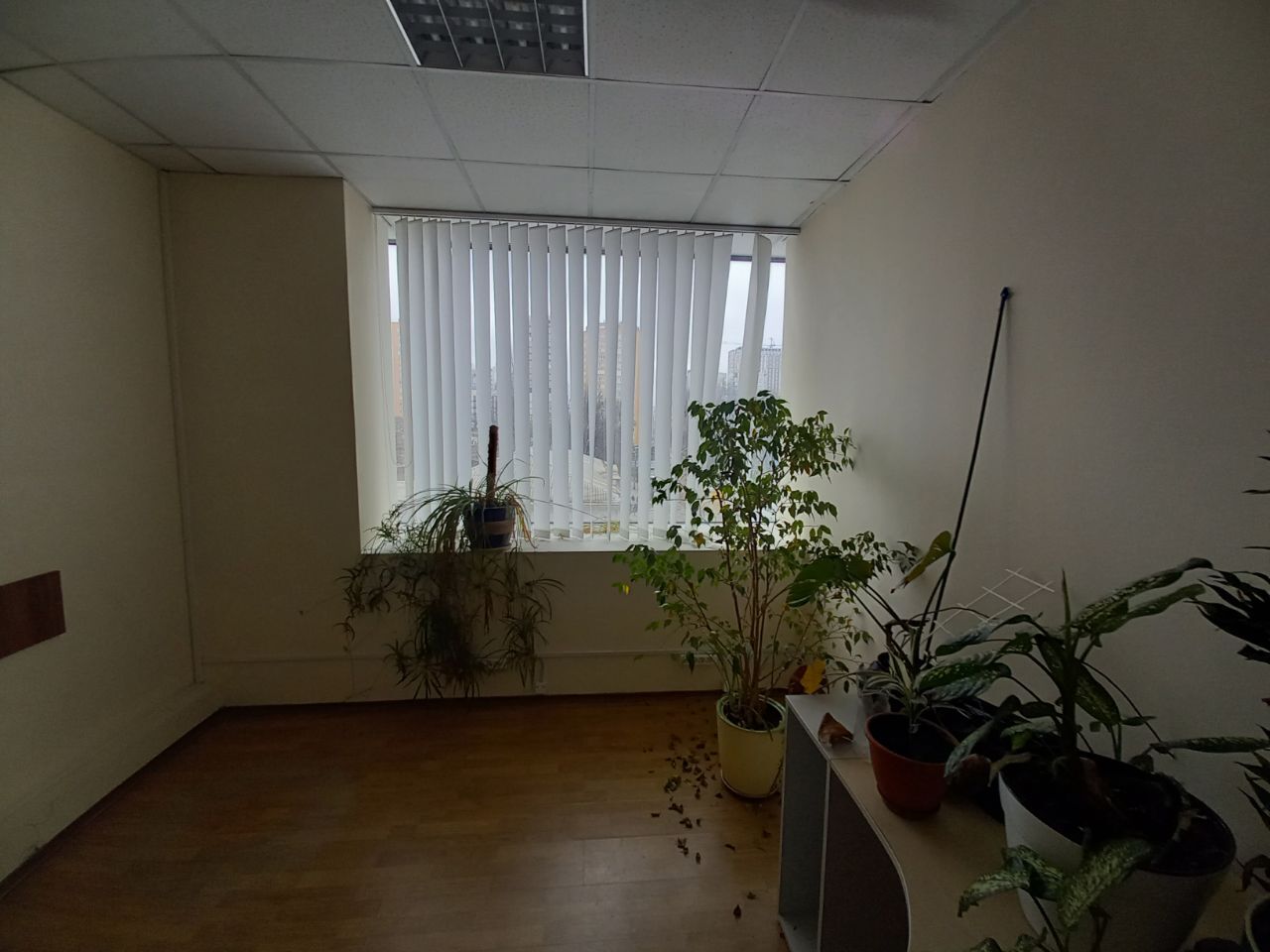 Аренда офиса 55 м², Михаила Коцюбинского ул., 1А